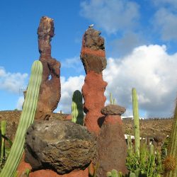 LANZAROTE Wüste