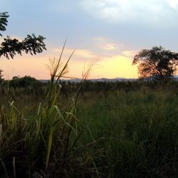 Große Rundreise durch Sri Lanka