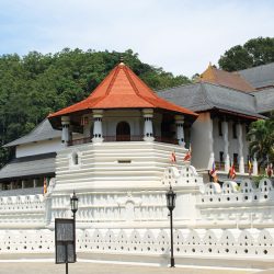 Grand Tour of Sri Lanka