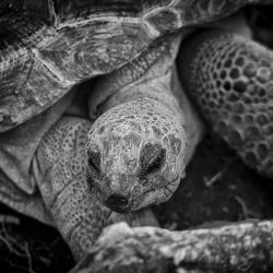 3603 - Ecovolontariat et plongées solidaires sur l’Ile de Malapascua - 1