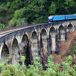 3634 - Le Sri Lanka à petit pas - 1