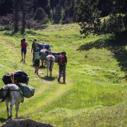 AVENTURE MULTIACTIVITE EN FAMILLE VERCORS