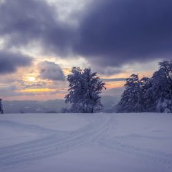 PROGRAMMA DI ESCURSIONI CON LE RACCHETTE DA NEVE CHARTREUSE