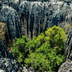 3690 - Viaggio di solidarietà nel Madagascar occidentale - 1