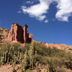 3567 - Semi-autonomous tour, Bolivia/Chile, South Lipez and San Pedro de Atacama - 1