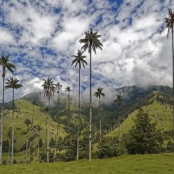 3652 - Naturaleza e historia Colombia - 1