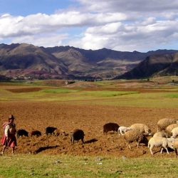 3517 - Meeting Andean communities - 1