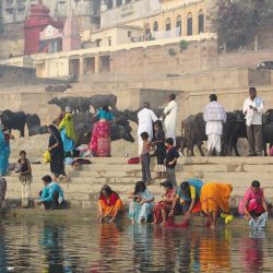 3558 - Circuit Atman : Spiritualité et bien-être en Inde - 1