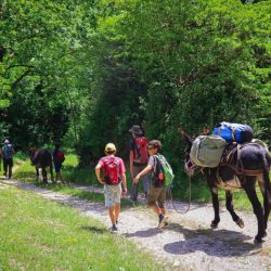 Multi-activity family holiday in the vercors