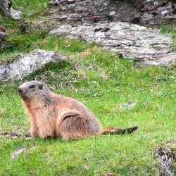 AVENTURE MULTIACTIVITE EN FAMILLE VERCORS