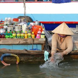 Vietnam Kambodscha Geschütztes Asien