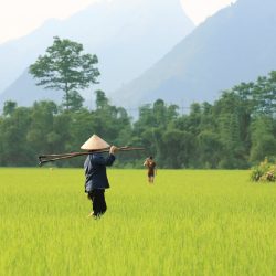 Vietnam Nord chez l'habitant