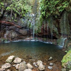 Madeira