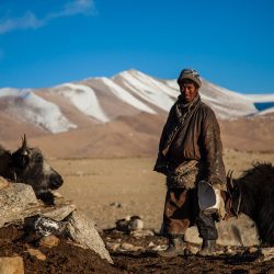 Du désert aux steppes nomades