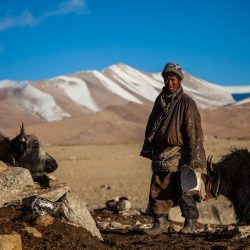 From the desert to the nomadic steppes