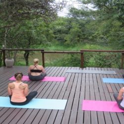 SOUTH AFRICA Safaris & Yoga