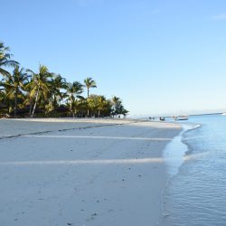 zanzibar